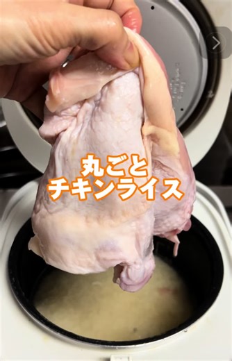 #キッチン科学実験教室 #子どもと #楽しく学ぶ #チキンライス#アジアン#炊飯器レシピ #CapCut