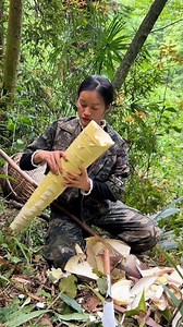 3.6K views · 26 reactions |  Bamboo shoots are edible young sprouts from the bamboo plant. They're a popular ingredient in Asian cuisine, prized for their crisp texture and mild flavor. They can be used in stir-fries, soups, salads, and many other dishes. They're also nutritious, low in calories, and a good source of fiber and vitamins. | Nature View | Facebook