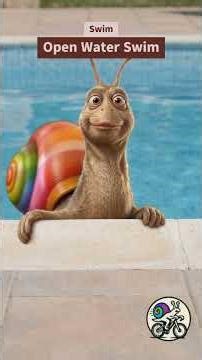 What the Shell is this Workout - Swim - The Open Water Swim