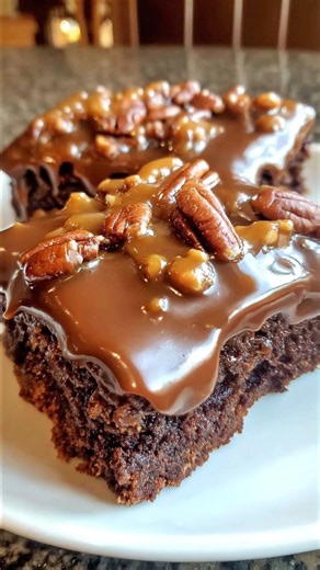 I have made this recipe for years. My children always chose it for their birthday cake over any other, and it makes enough for a crowd. Moist and delicious. Very easy to make. Enjoy! Recipe in (c.o.m.m.e.n.t ).👇 | Recipes For Family