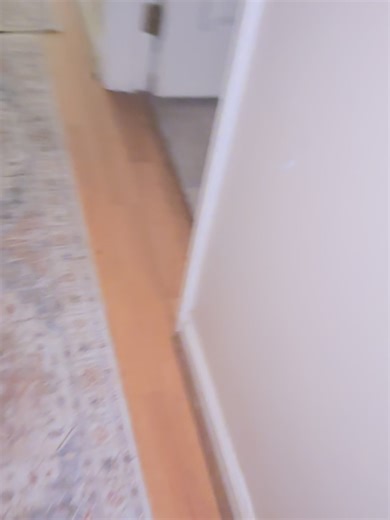 #fyp #cat #weirdpets