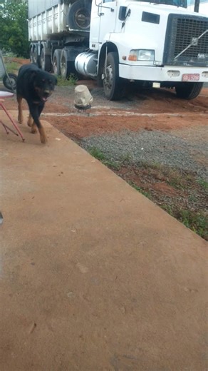 NÃO DESISTA A ÚLTIMA PALAVRA É DEUS QUEM FALA