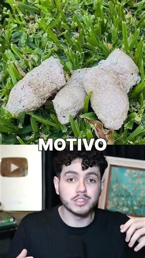 COCÔ BRANCO!