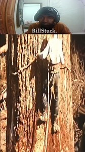 27K views · 358 reactions | One Tree, One Plan: Professional Logging Work #logger #logging #history #documentary | Bill Stuck | Facebook