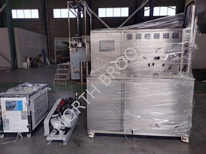 [Hot Item] Fully Customizable CO2 Supercritical Extraction Machine for Lemon and Bergamot Essential Oil