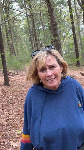 Walk in the Woods. Canton, MA