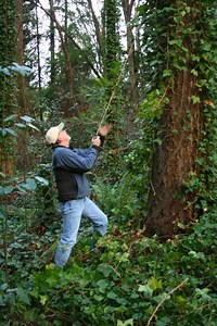 The Dangers of Dumping Yard Waste in Natural Areas