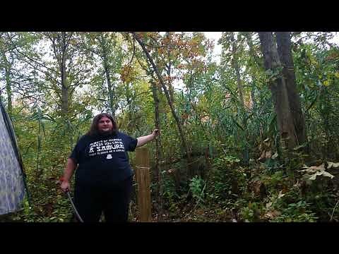 Honshu Review - Boshin Wakizashi Sword - By Will Keith