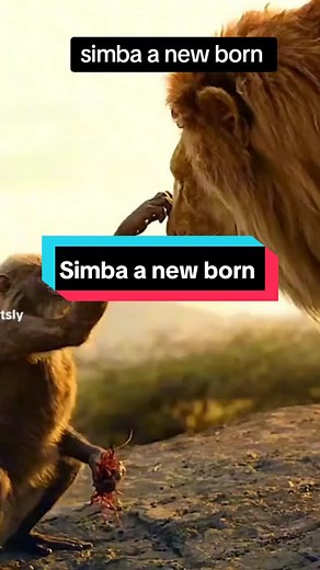 Simba: A New Born in The Lion King