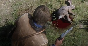 Red Dead Redemption 2 pelts - how to get perfect pelts, hides and skins when hunting