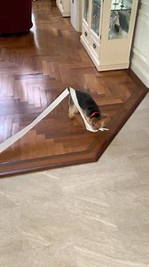 The Paper Boy. But making my Mac & Cheese is so much easier and less work. https://pressureluckcooking.com/recipe/instant-pot-mac-cheese/ | Pressure Luck Cooking