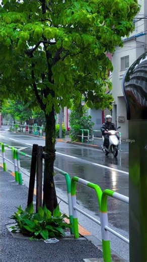 東京の雨の日☔️Rainy day in Tokyo #東京散歩 #日本の美 #tokyostreet #japanvibes #japantravel #cinematic #rainyday