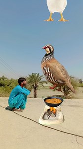 45K views · 749 reactions | #AncientDiscoveries #AlienMummy #OutofthisWorld #historyfacts #history #community #heritage #archaeoloynews #archaeologist #archaeology #archaeological #archaeologylife #romanempire #roman #RomanBritain #romanbritain #historylovers #historyinthemaking #historymatters #history #historyfactscl #Fall2024Trends | Ramzanvfx | Facebook