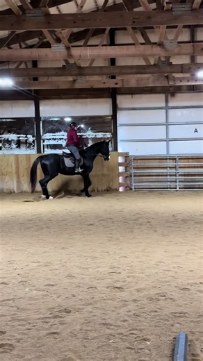 A lot of walk work (which I wish I got video) a little trot and a little canter on this cold day. Pedro is just beginning his life with us and has much to learn. He is making so much progress already though! ❤️ Loved getting to watch Nikki ride him today. @Hidden Gem Equine #horses #pedro #pinnacle