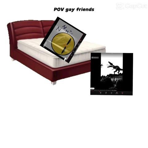 POV gay friends.