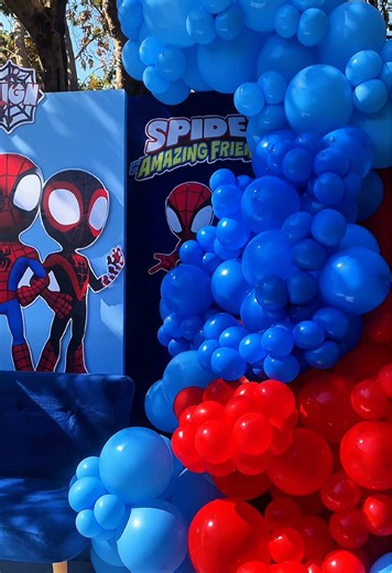 Spidey And His Amazing Friends 5th Birthday Party Ideas