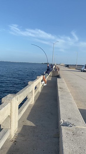 Gag Grouper Fishing Skyway fishing piers #Gaggrouper #gag #freeline #livebait #fish #fishing. #skywaymisfits #skywayfishingpier #fishlikemisfits #skywaybridge #bridgemasters #bridgefishing #reelqualitysra #foodforthefeesh #grouperfishing #grouperseason #grouper #sharkvato #bridgemonsters #seaguarfluorocarbon #tampabay #fish #fishing #fisherman #fishingislife #fishingaddict #tampabay #fish #fishing #fishlikeapro | Jay Way