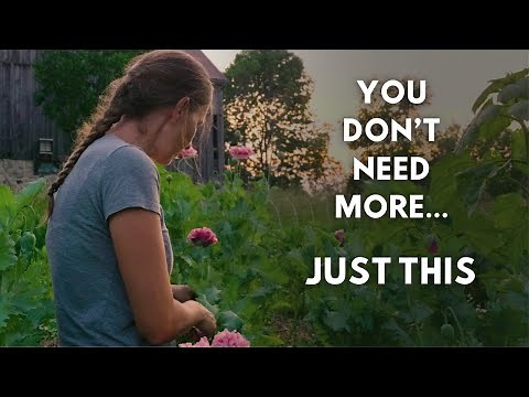 What I've learned from living a simple life in the countryside / Slow rural life