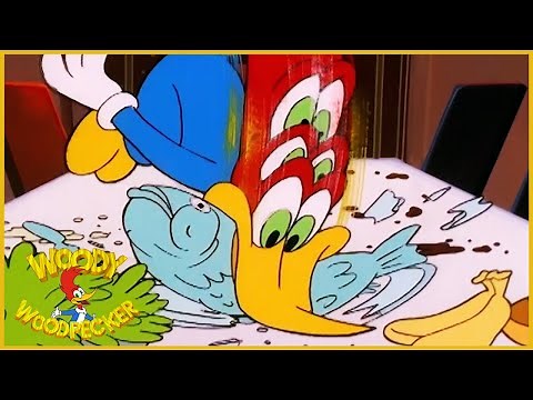 Woody Woodpecker Show | Bavariannoying | 1 Hour Compilation | Videos For Kids