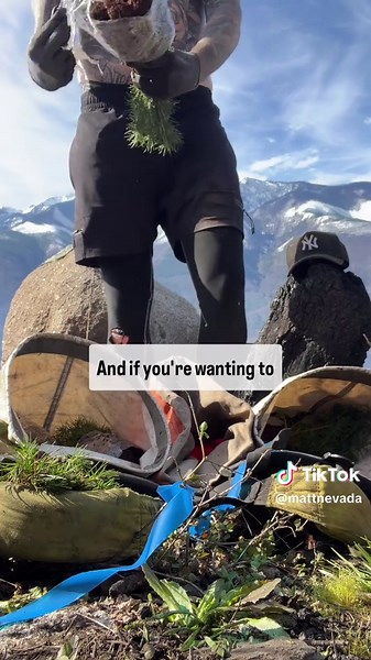 Explore Exciting Careers in Forestry and Tree Planting