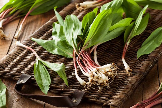 Everything You Need To Know About Cooking With Ramps