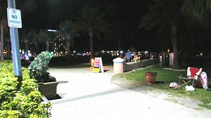 Florida Bushman | Fredspecialtelevision