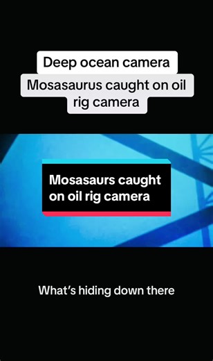 A mysterious, see creature was caught on a oil rig camera that resembles a mosasaurs.