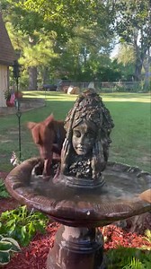 9.2K views · 176 reactions | Summer in the South is grueling, but alum, Ry has solved the problem for the time he goes outside.. The fountain is the perfect solution! How is your pooch cooling down when outside? Can’t wait to see the pictures! www.proverbs1210rescue.org | Proverbs 12:10 Animal Rescue | Facebook