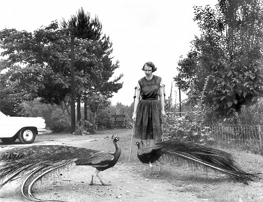 Flannery O’Connor Wanted to Shake Her Readers Awake. Her Family Wanted Her to Write the Next ‘Gone With the Wind’