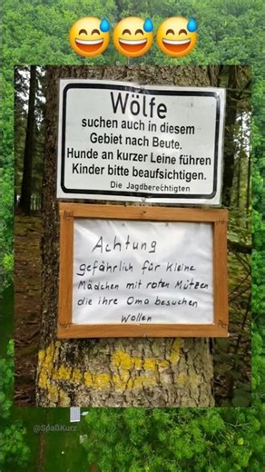 Rotkäppchen-Alarm #chatstory #funny #243