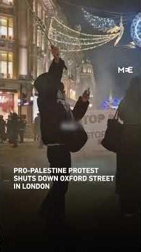 Pro-Palestine protest shuts down Oxford Street in London