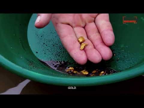 Metal Detecting Starts Here | Detector Warehouse — Gold, Coin & Treasure Detectors