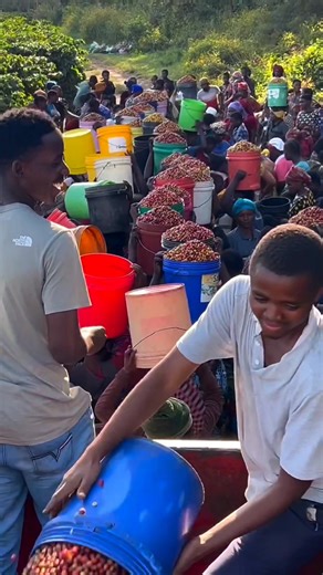 Explore the Richness of African Coffee Culture