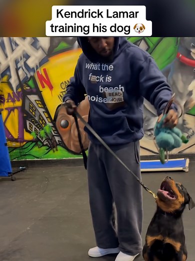 Kendrick Lamar's Dog Training Tips with Pit Bull