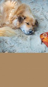 25K views · 37 reactions | As summer fades into fall, we're ready to embrace the rich, cozy colors of autumn. Which paint color has you inspired for a new season? ☀️  | Benjamin Moore | Facebook