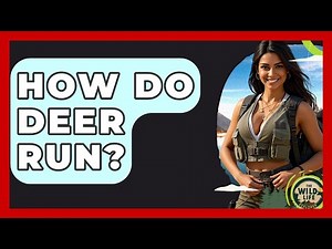 How Do Deer Run? - The Wild Life Explorer