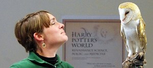 A Look into the Pensieve: Reflections on Harry Potter at Twenty Years