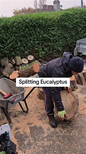 Splitting Eucalyptus: Effective Wood Chopping Techniques
