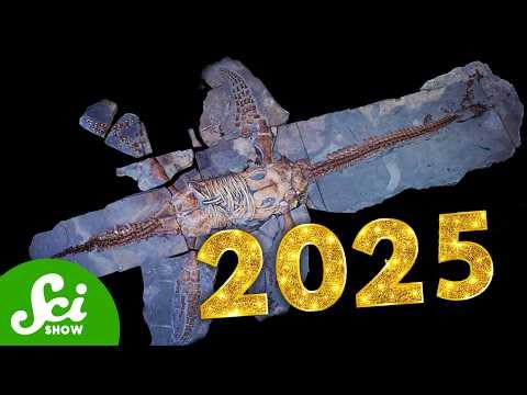 The Coolest Fossils of 2025