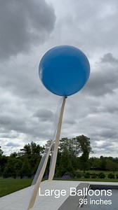 Make a bold statement with our 3ft (36-inch) helium-filled latex balloons – the perfect way to elevate any celebration! These oversized balloons float gracefully and create a stunning visual impact, ideal for birthdays, weddings, grand openings, baby showers, and corporate events. • Size: 3 feet (36 inches) when fully inflated • Material: Premium natural latex • Filled with: Helium for high floating visibility • Float Time: 24–48 hours (depending on conditions) • Perfect for: Indoor and outdoor 