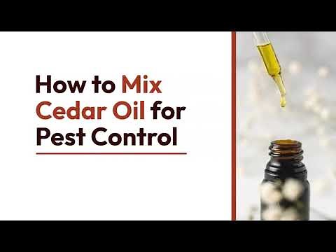 8 Ways to Mix Cedar Oil for Pest Control | The Guardians Choice