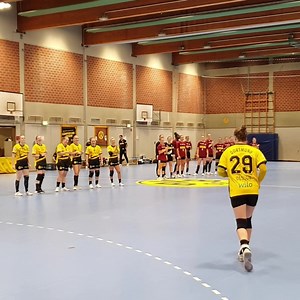 🤩 Unsere Teampräsentation 2023/24! Inklusive einer ausführlichen Vorstellung unserer neuen Spielerinnen in Schwarzgelb. Schön, dass Ihr beim BVB seid! 🖤💛 | BVB Handball Damen