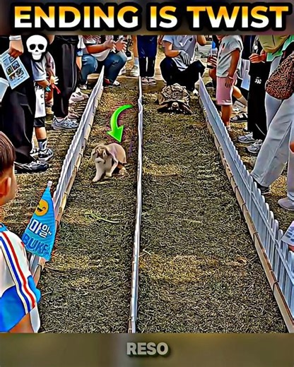 Repeat it again ☠️