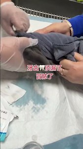 OMG! A Massive Hole! What's My Dog Thinking