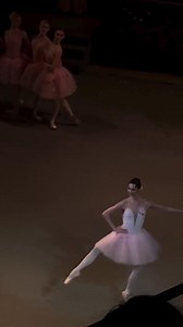 Don Quixote @Oksana Skorik @Mariinsky Theatre @Natalia Beizerova | Ballet Mon Amour
