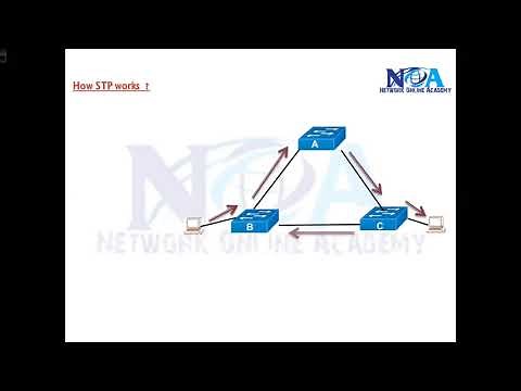 003 How STP Works