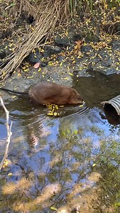 4.8K views · 163 reactions | A peek into homecare! With a first for...