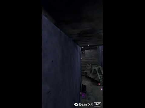 gorilla tag with viewers and also beat saber and other games