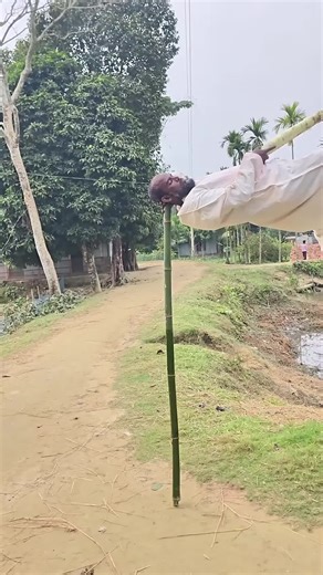 #BalliBotMogis #TrendingReels #TrendingReels #Foryoupage ##FYP #FYP #ViralTikTok #MillionViews #TechMagic #SmartBot #AITrend #RobotVibes #Innovation