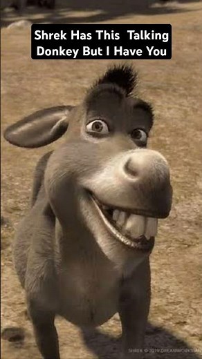 Shrek Has This Talking Donkey But